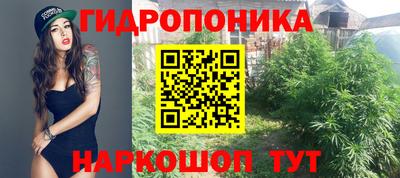 a pvp Апрелевка