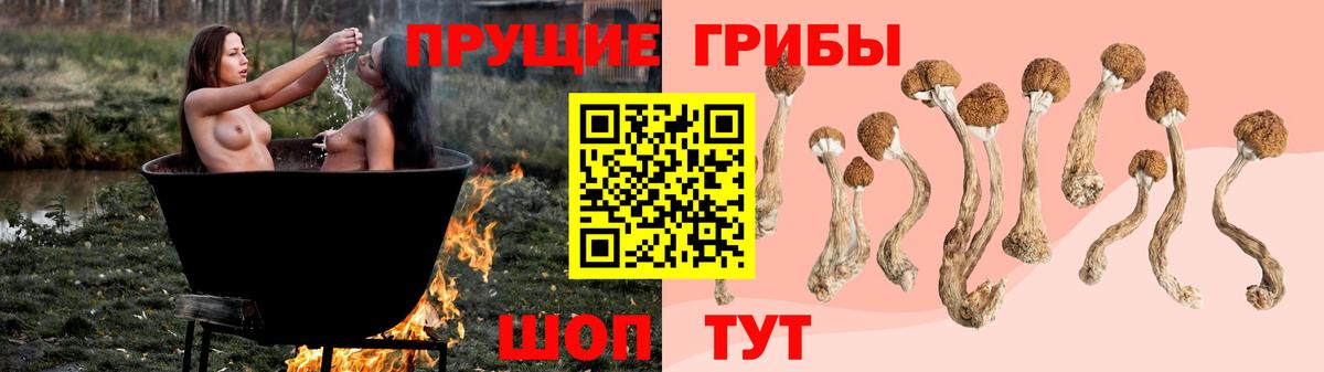 Псилоцибиновые грибы MAGIC MUSHROOMS Жуковский