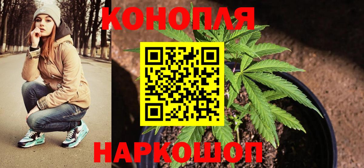 Канабис SATIVA & INDICA Жуковский